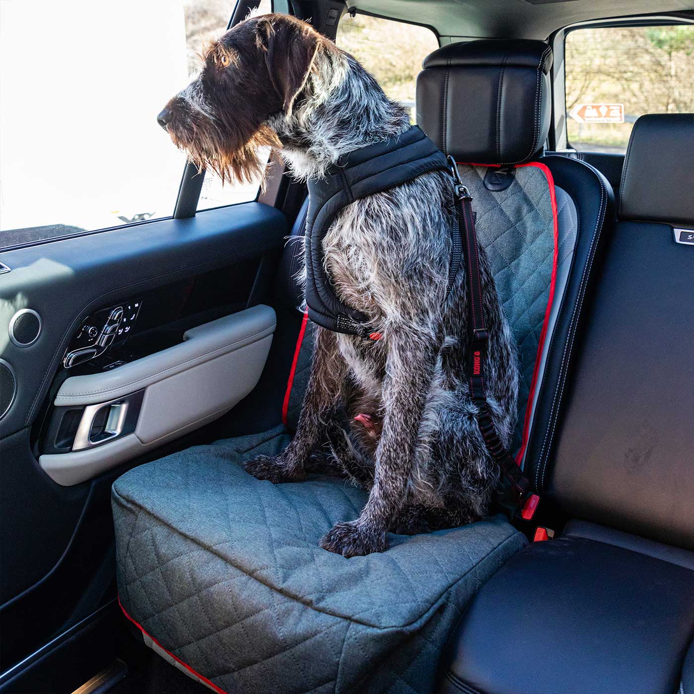 KONG Single Seat Cover - Waterproof & Durable Car Seat Protector for Pets - Perfect for Dogs, Cats, and Travel