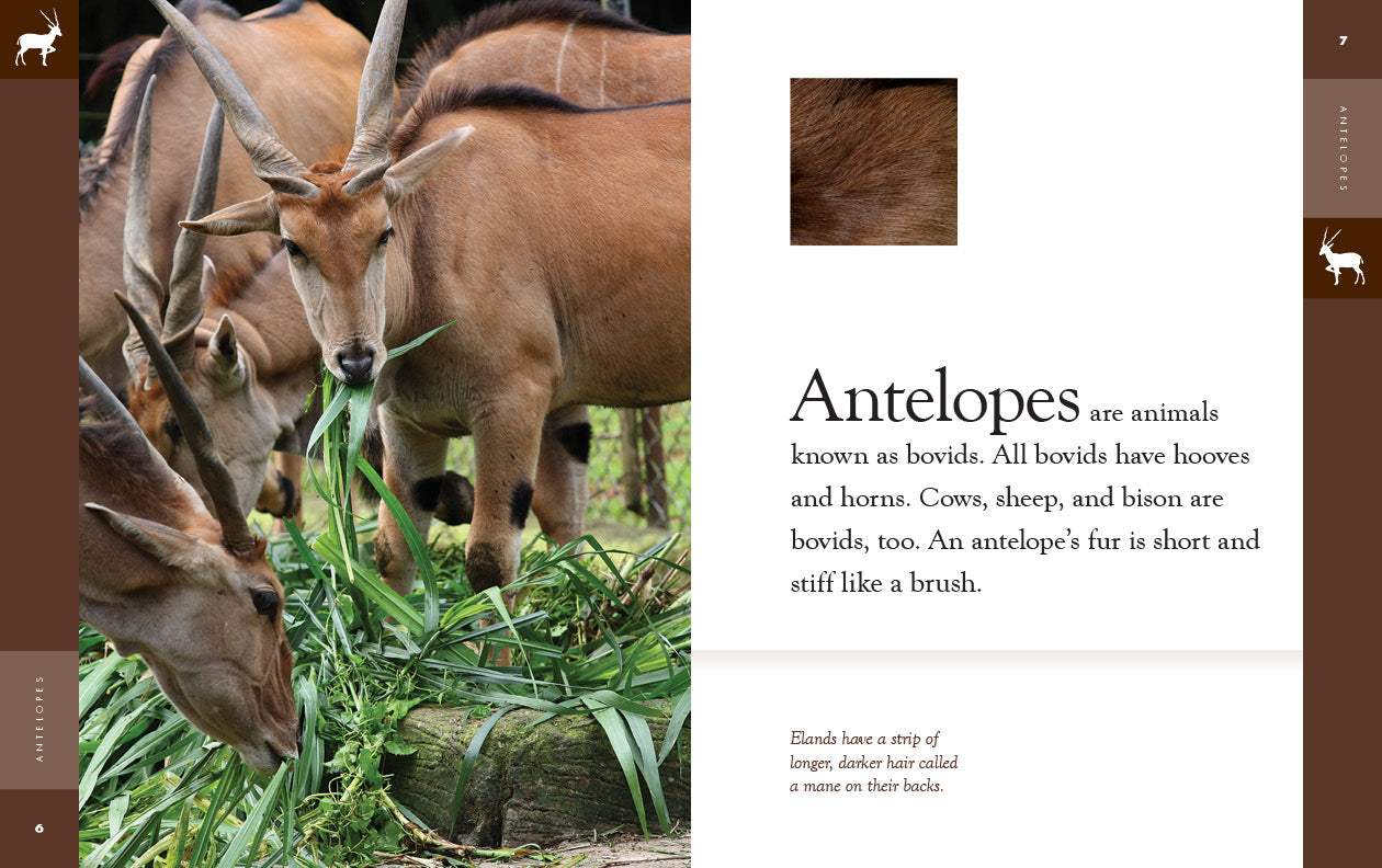 Antelopes: 9781640265585 - Wildlife Book for Nature Enthusiasts | Perfect for Animal Lovers, Safari Planning & Educational Use