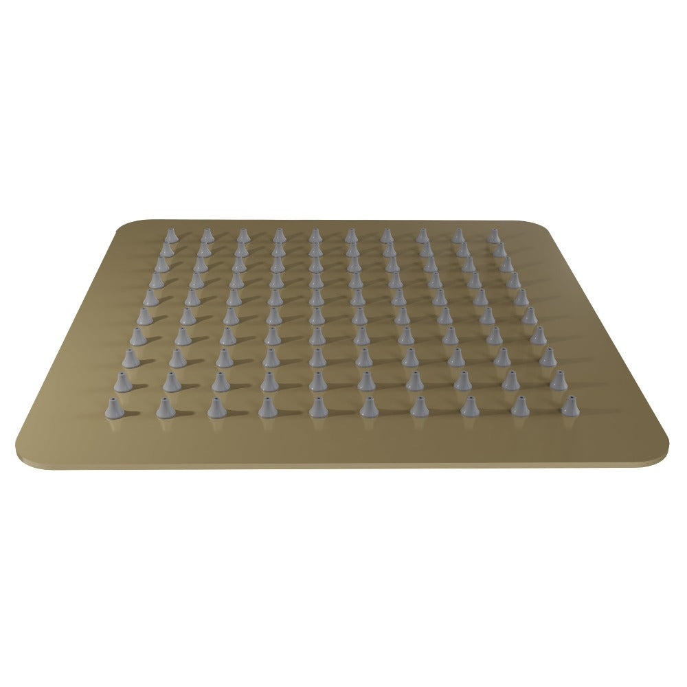 ZLINE Bliss 8 Inch Rainfall Shower Head - Champagne Bronze Finish (BLS H8 CB) - Luxury Bathroom Upgrade for Spa-Like Shower Experience