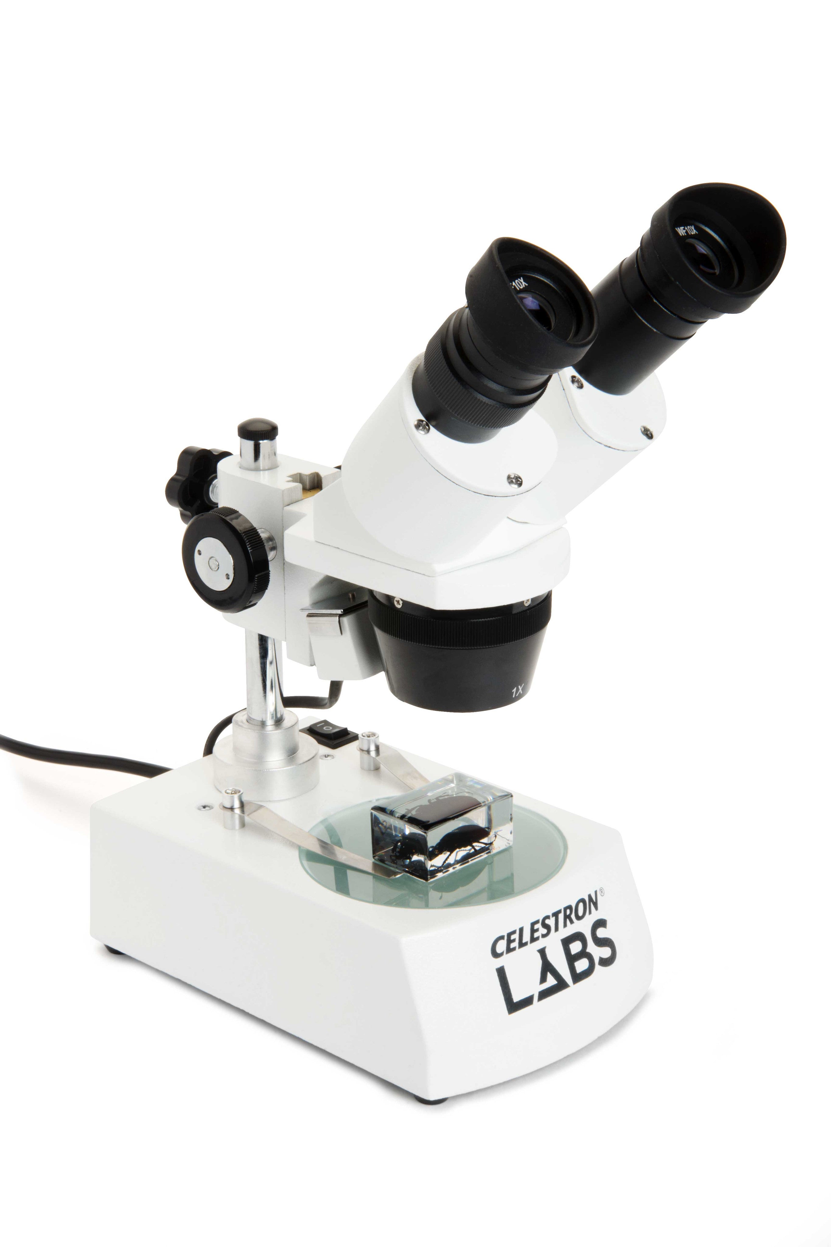 Celestron Labs S10 60 Stereo Microscope - High Power Binocular Microscope for Adults & Kids, Ideal for Coin Collecting, Jewelry Inspection & Science Education