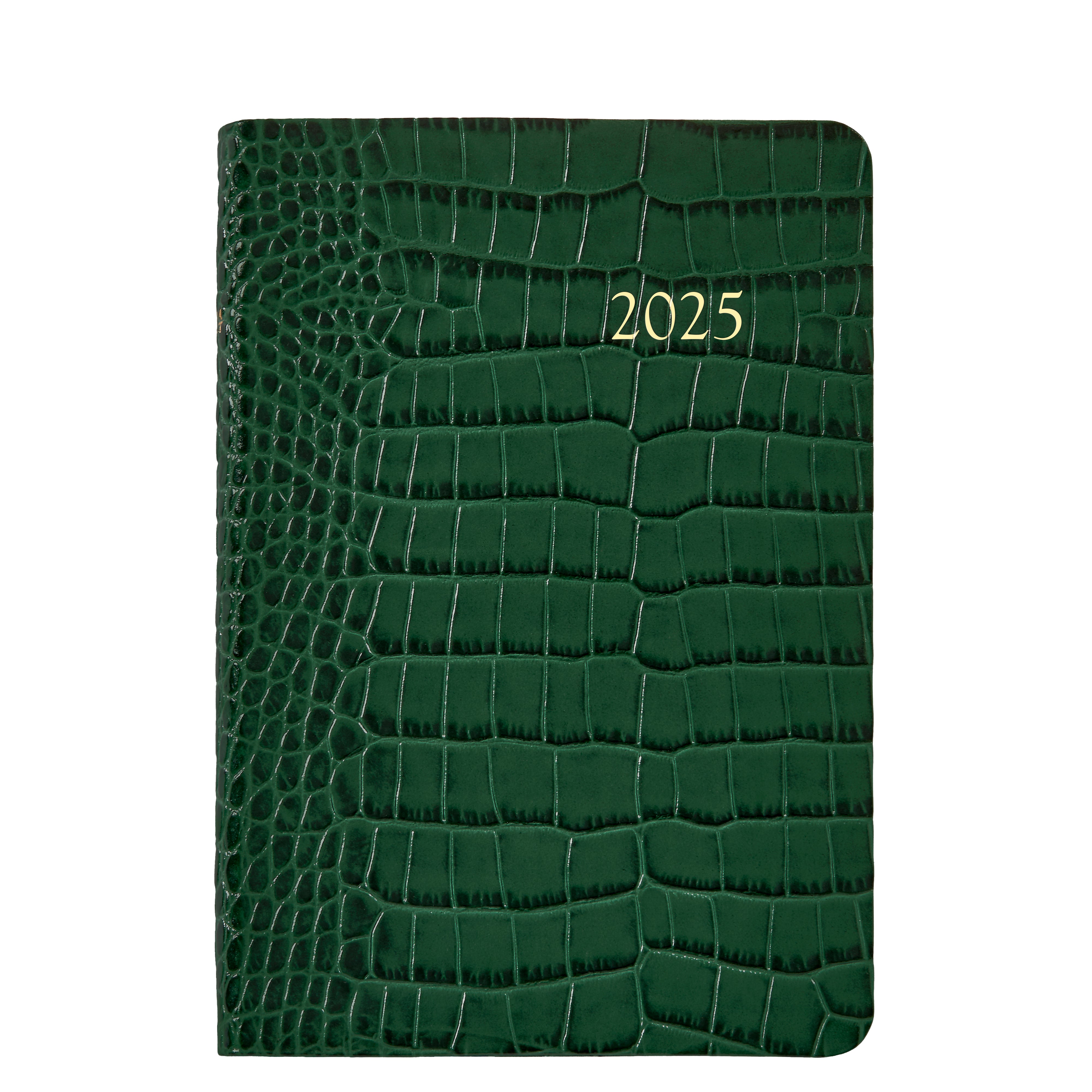 2025 Embossed Crocodile Leather Journal - Premium Daily Planner for Work & Personal Use - Perfect Gift for Professionals & Students