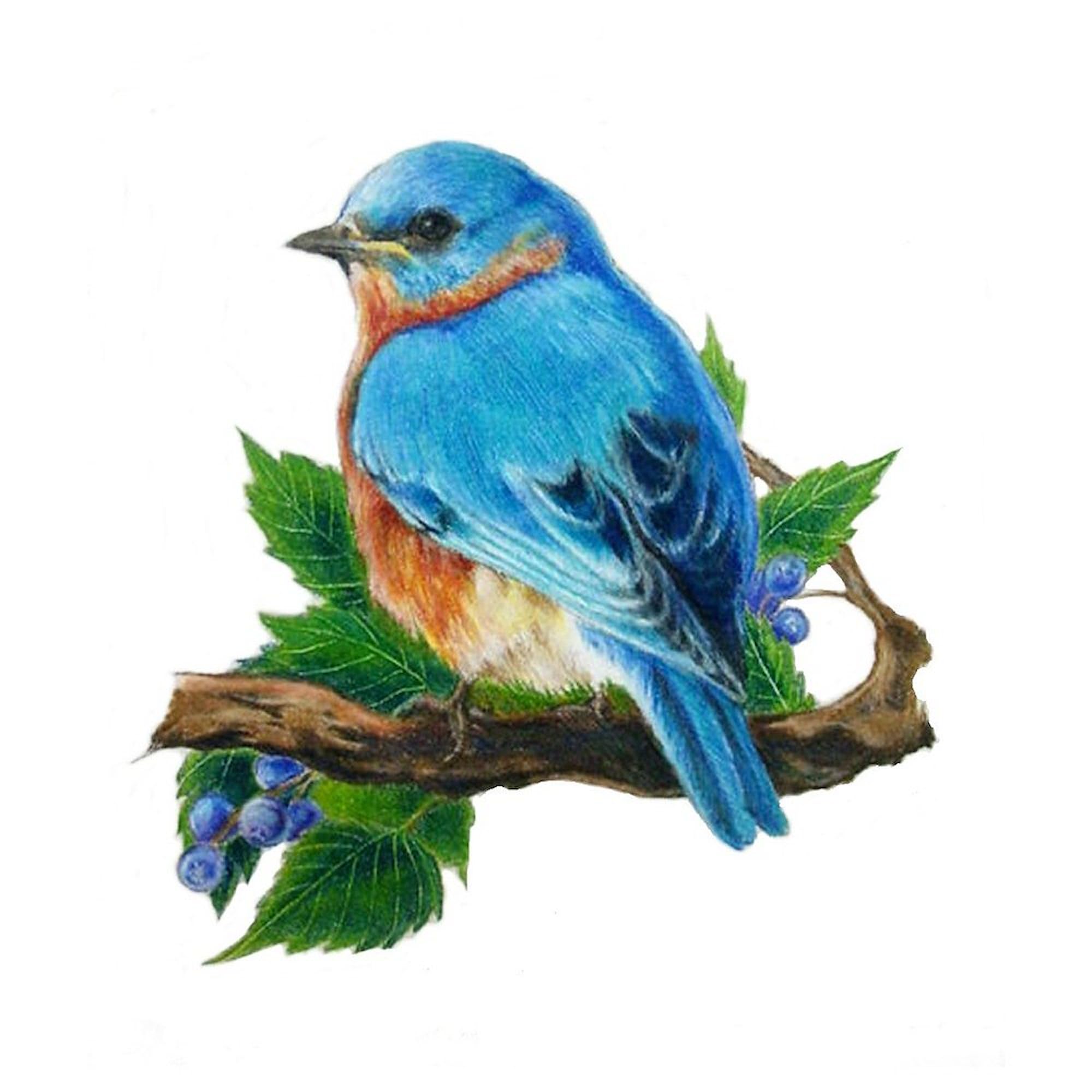 Bluebird Oval Car Bumper Sticker - Durable Decal for Cars & Laptops