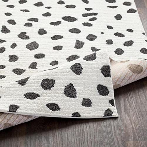 Mark&Day 5x7 Aadhya Global Black & White Area Rug - Soft Modern Carpet for Living Room, Bedroom, Kitchen - Perfect for Home Decor & High Traffic Areas (5'3