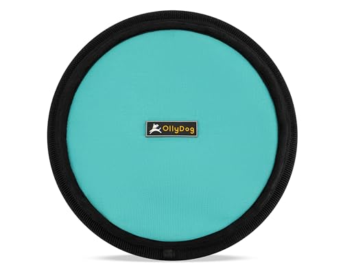 Bright Aqua