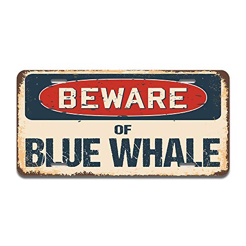 Beware of Blue Whale