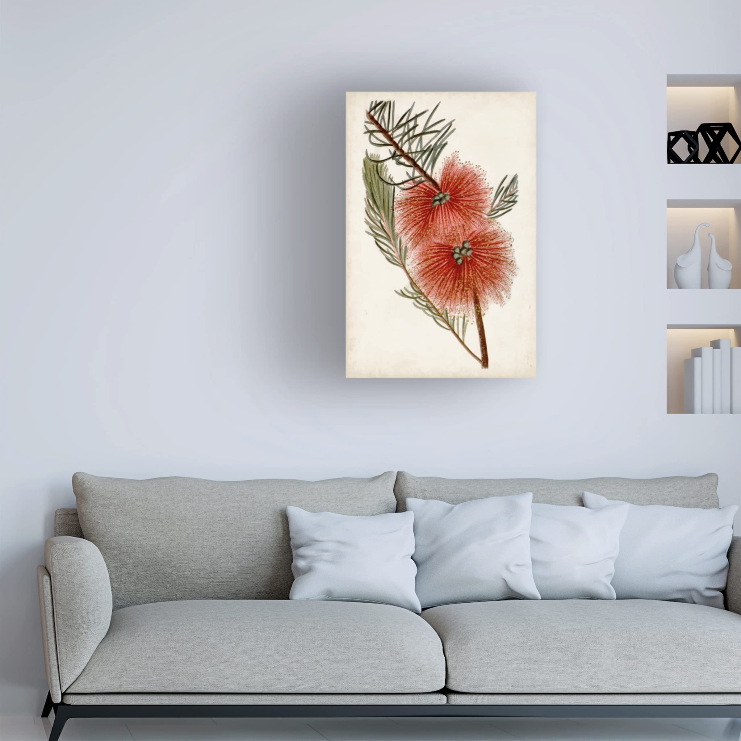 John Miller 'Bottle Brush Flower I' Canvas Wall Art Print - 30x47 Inches Floral Home Decor for Living Room, Bedroom & Office