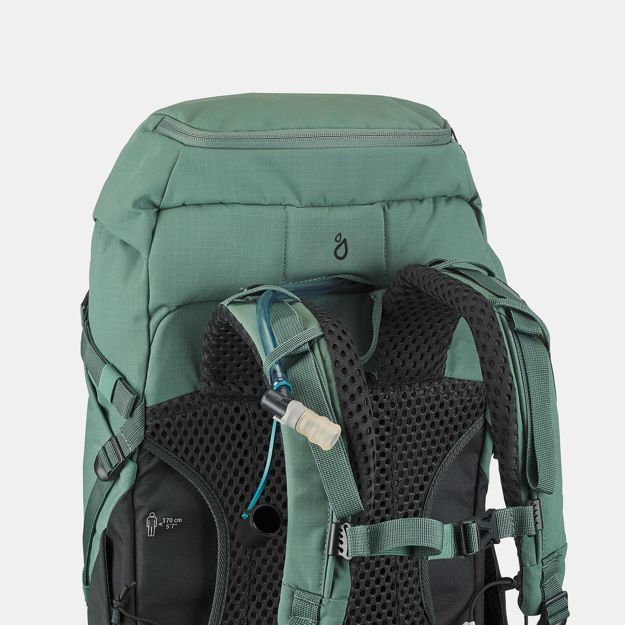 Quechua MH500 30L Lightweight Hiking Backpack for Men & Women - Waterproof Outdoor Camping Gear for Trekking, Travel & Adventure