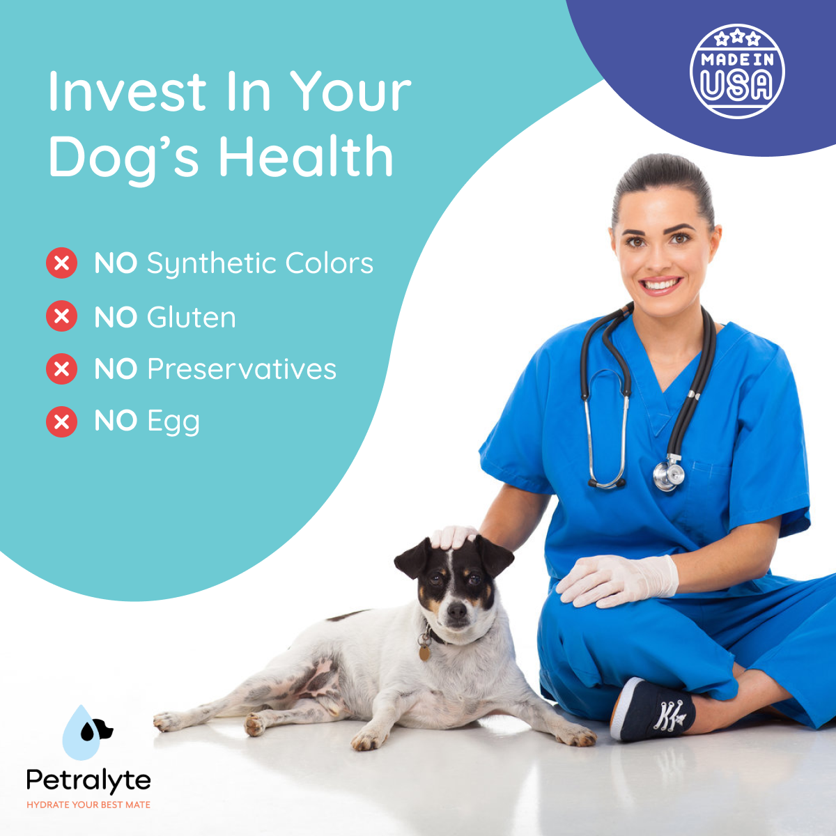 Premium Dog Electrolyte & Joint Support Supplement - Beef Flavor for Active Dogs | Post-Workout Recovery & Senior Dog Mobility Aid