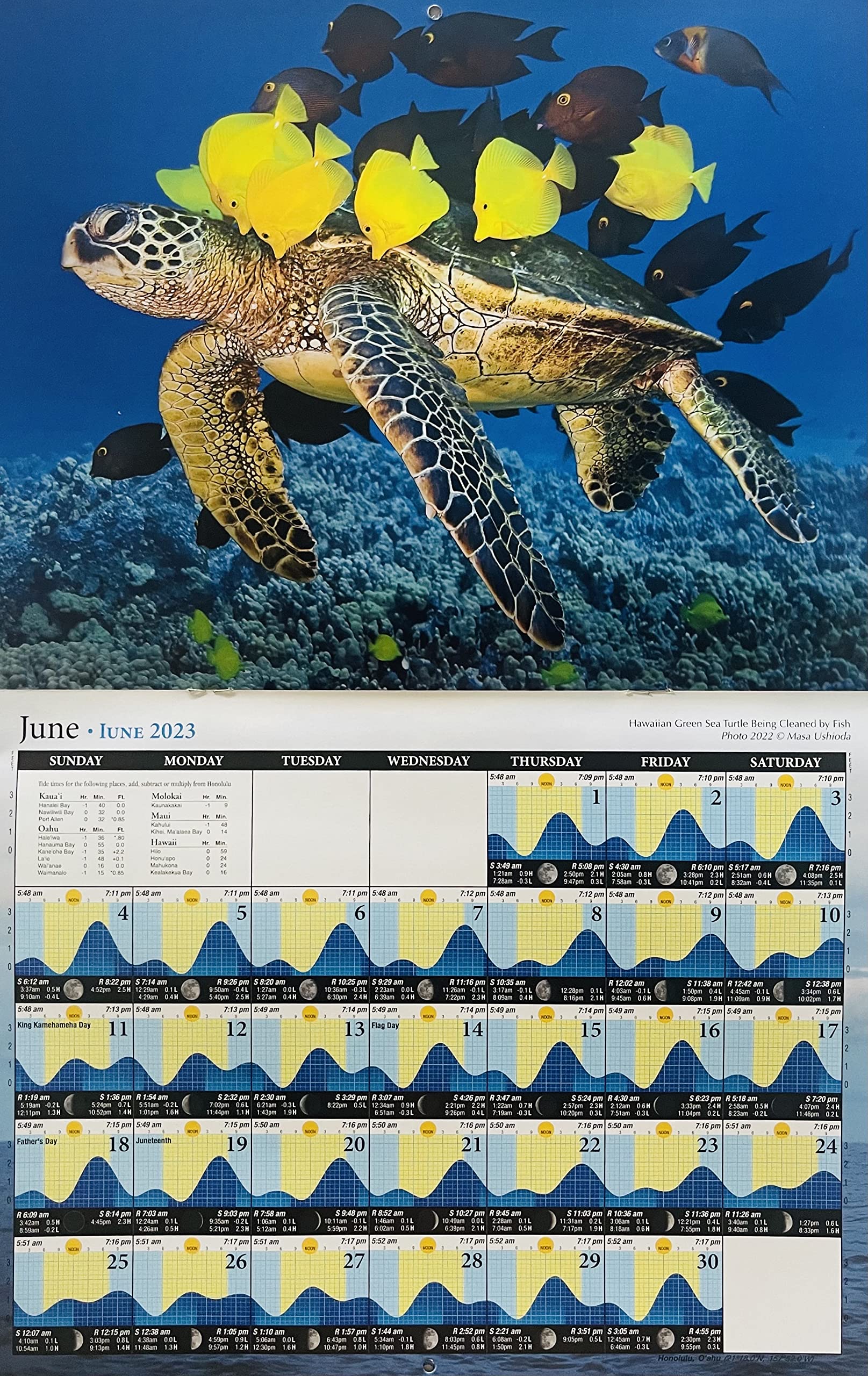 2023 Hawaii Tide & Moon Phase Calendar - 12 Month Hawaiian Wall Calendar for Surfing, Fishing & Beach Activities | Long's Authentic Hawaiian Gifts