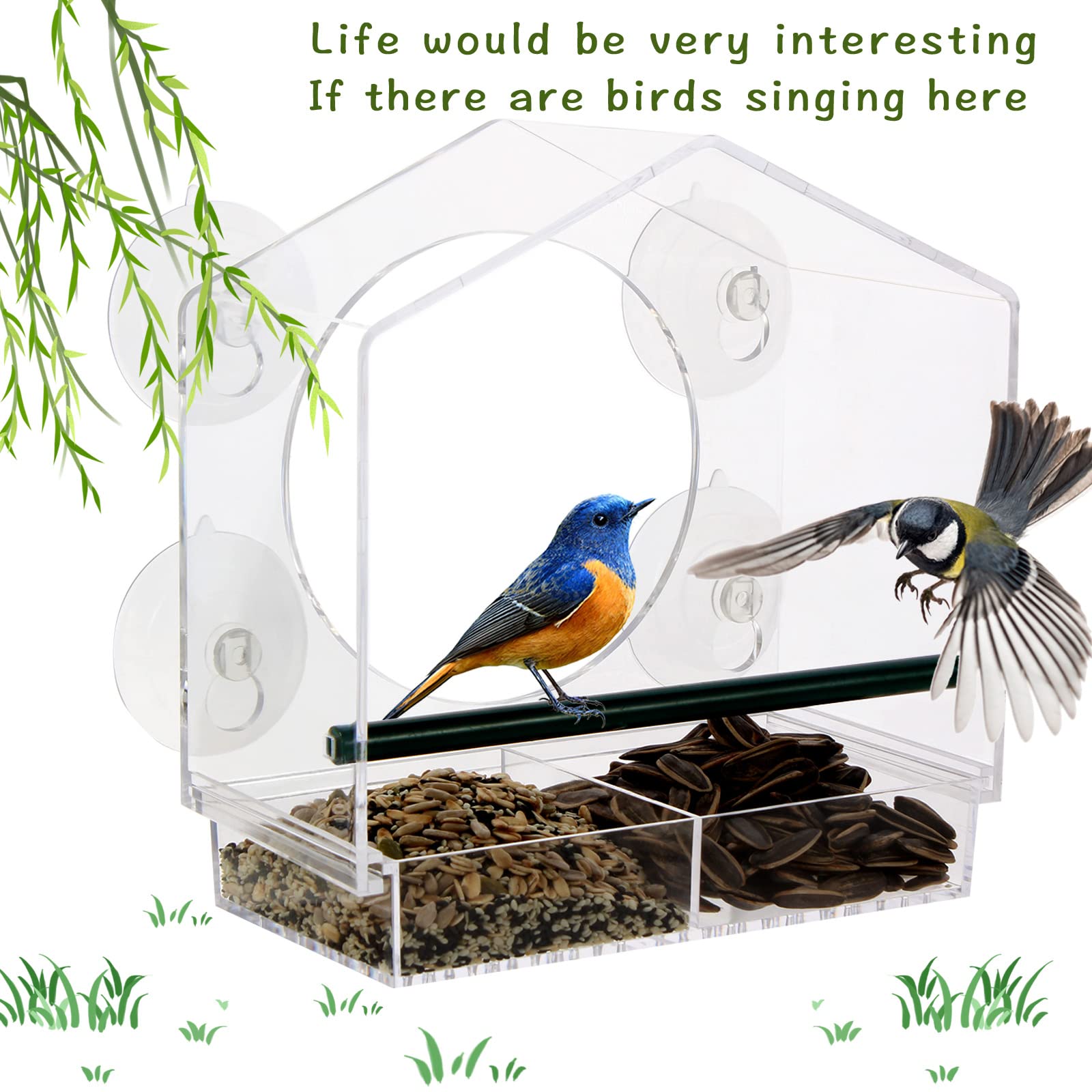 Clear Acrylic Window Bird Feeder with 4 Strong Suction Cups - Removable Drain Hole Tray, Easy to Install & Clean - Perfect for Backyard Bird Watching & Nature Lovers