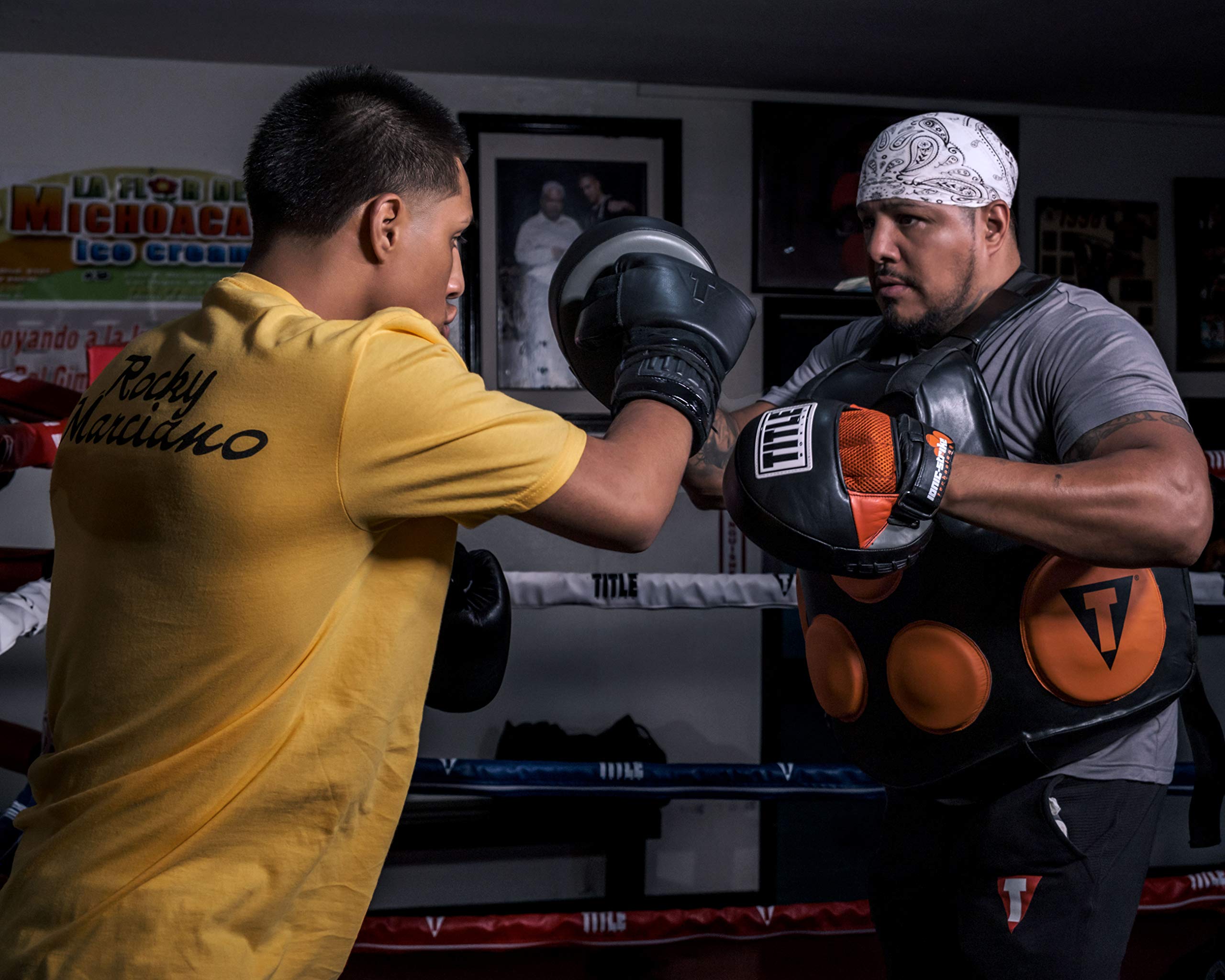 TITLE Boxing Ionic Strike Punch Mitts - Grey/Orange Training Pads for Boxing, Muay Thai, MMA & Kickboxing | Focus Mitts & Punching Pads for Combat Sports Training | Perfect for Gym, Home Workouts & Martial Arts Practice