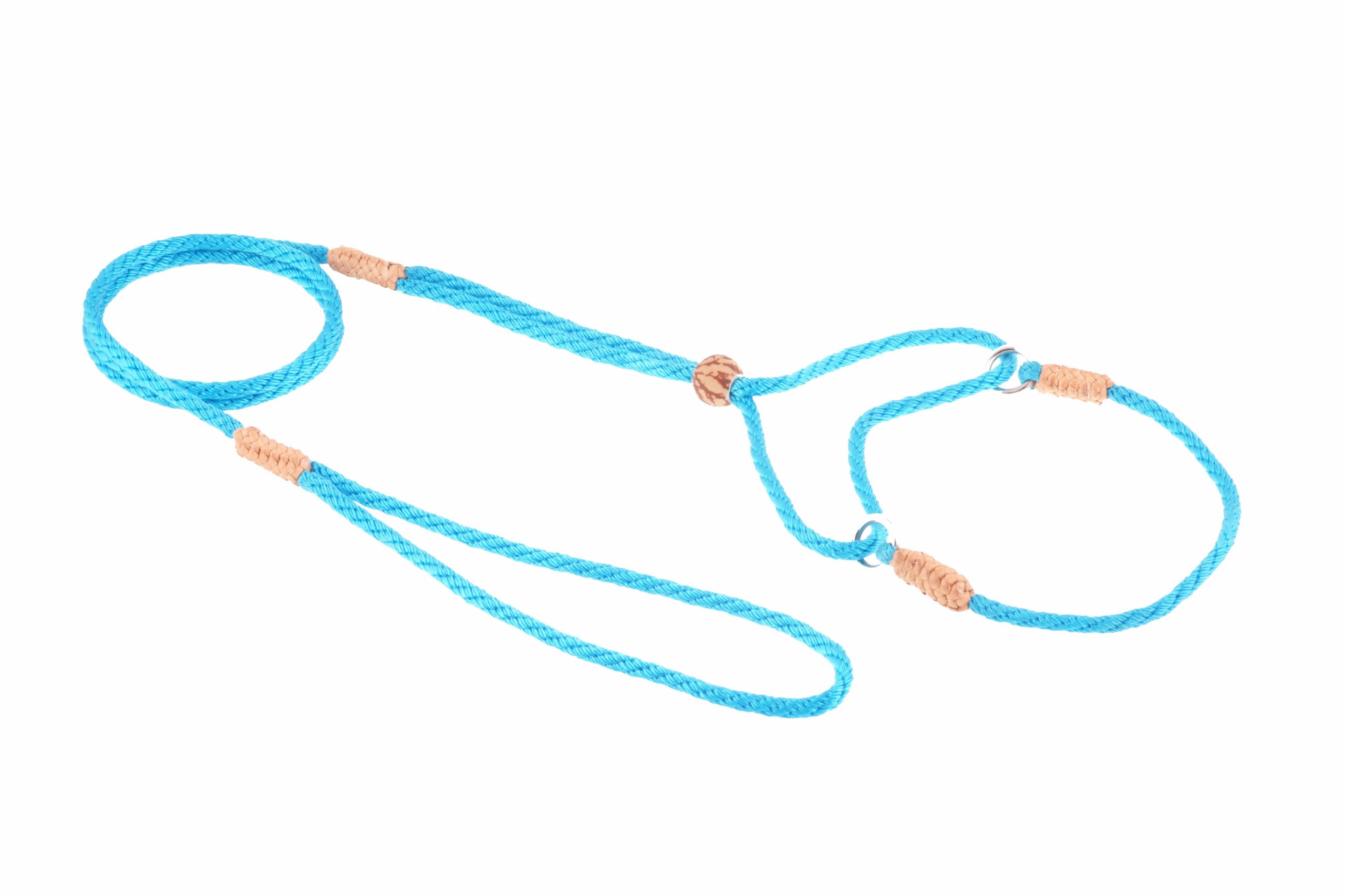 Alvalley Martingale Dog Leash with Collar - Soft Nylon Training Leash for Small & Medium Dogs - Adjustable No-Slip Collar with Tagua Bead Stopper - Ideal for Walking, Obedience Training & Daily Use