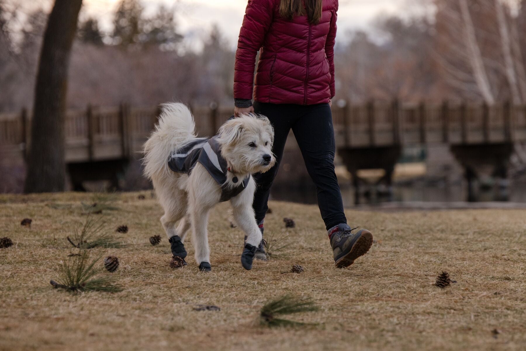 Ruffwear Just a Cinch Dog Leash - Obsidian Black | Adjustable & Durable Pet Walking Lead for Hiking, Running & Daily Walks