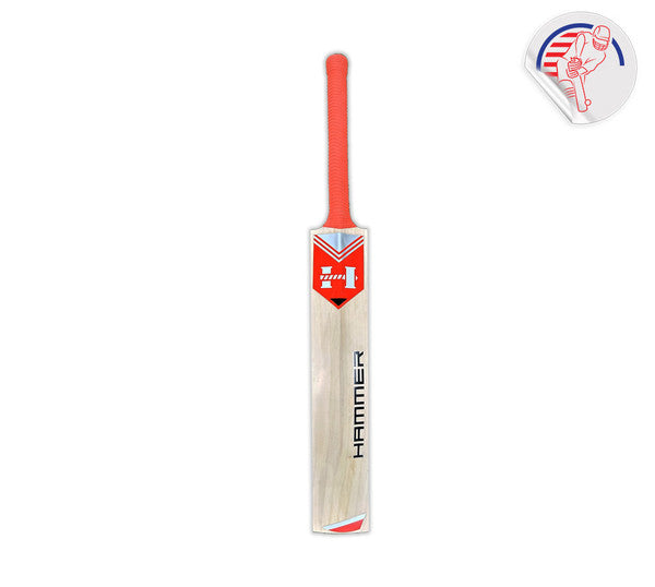 Premium Kashmir Willow Cricket Bat by Hammer Steele - Lightweight & Durable for Professional Matches & Training Sessions