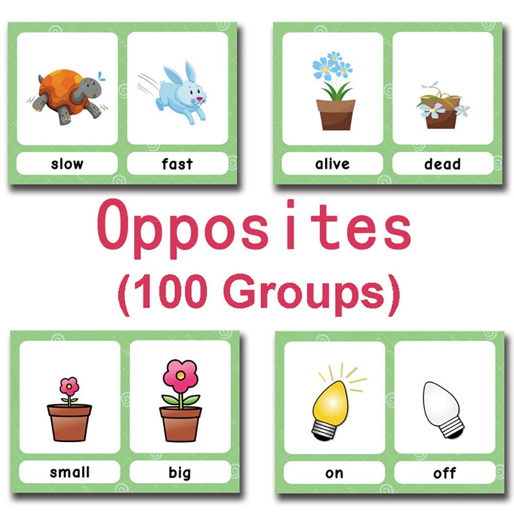 Richardy 100 Groups English Antonyms Flashcards - Vocabulary Building Pocket Cards for Kids | Educational Learning Toys for Preschool & Kindergarten | Perfect for Classroom, Homeschool & Travel Use