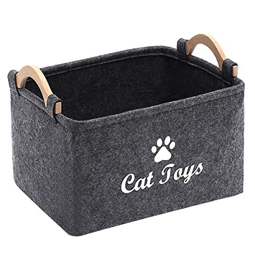 Cat Grey
