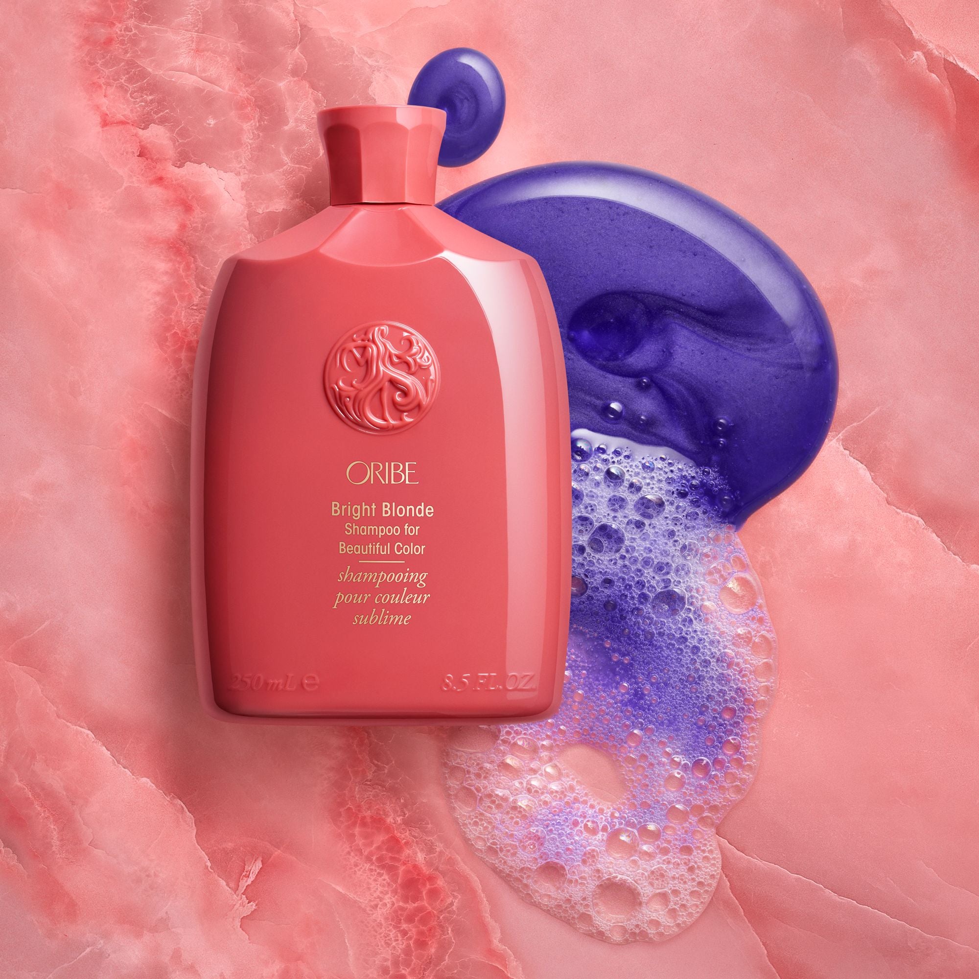 Bright Blonde Shampoo for Beautiful Color - Purple Toning Shampoo for Blonde & Gray Hair - Eliminates Brassiness & Enhances Shine - Perfect for Salon & Home Hair Care