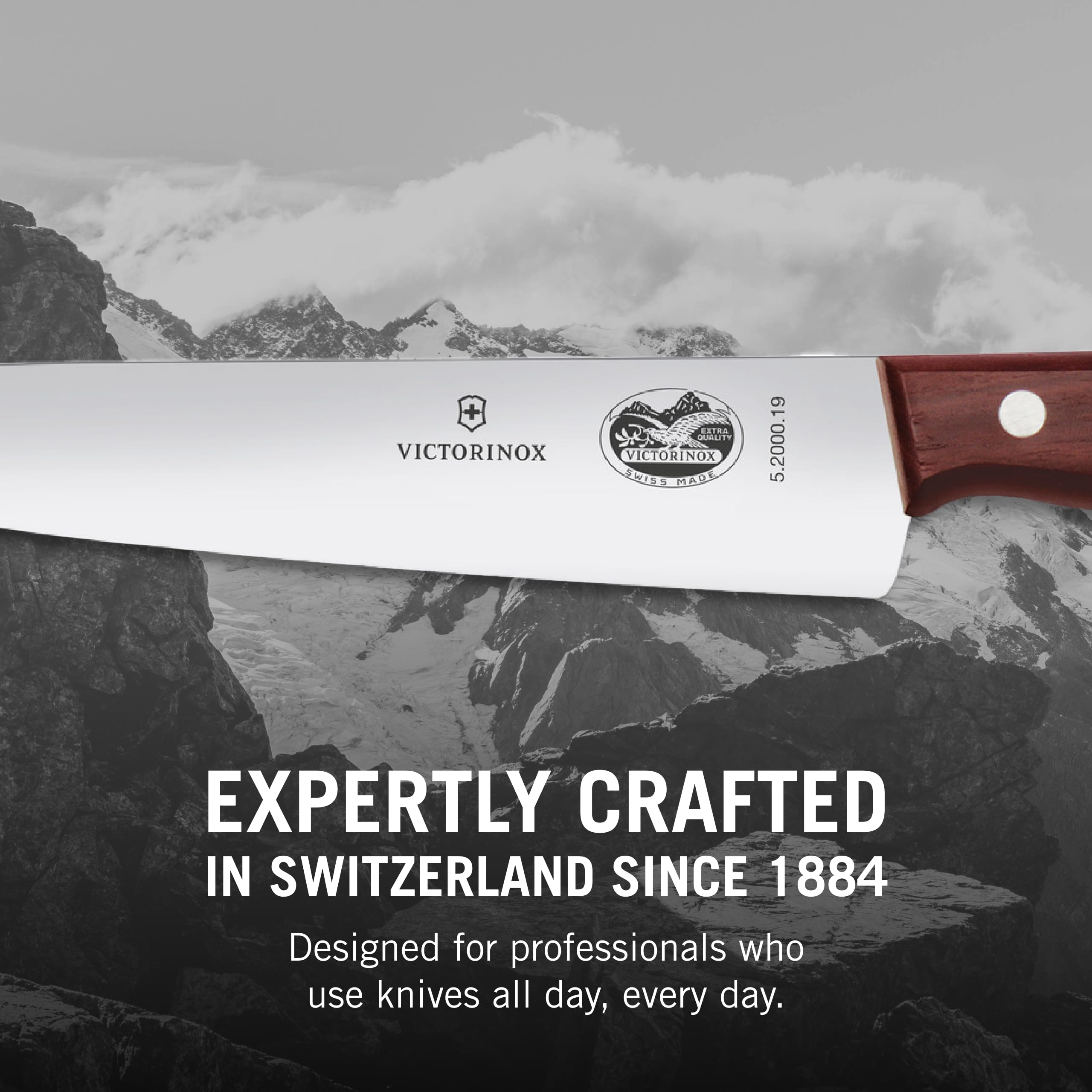 Victorinox 2-Piece Carving Set with Chef's Knife & Carving Fork - Premium Wooden Handle Kitchen Knives for Meat Carving & Slicing - Perfect for Thanksgiving Turkey, Holiday Roasts & Home Cooking
