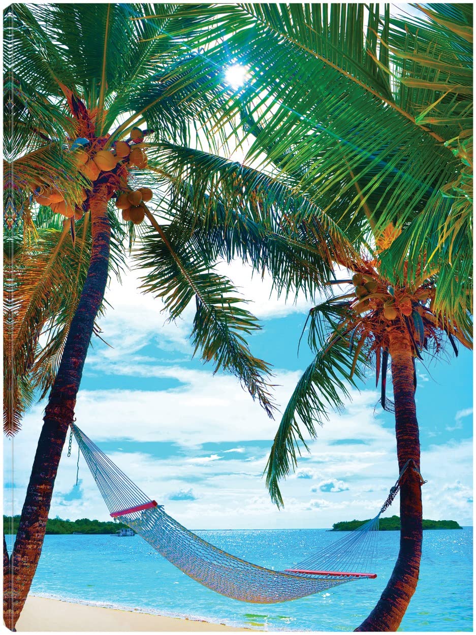 Jack Reed Original Coconut Sun Canvas Wall Art - 35x46 Inch Ready to Hang Painting for Living Room, Bedroom, Office Decor - Tropical Beach Theme Home Decoration - Perfect for Coastal, Boho & Modern Interiors