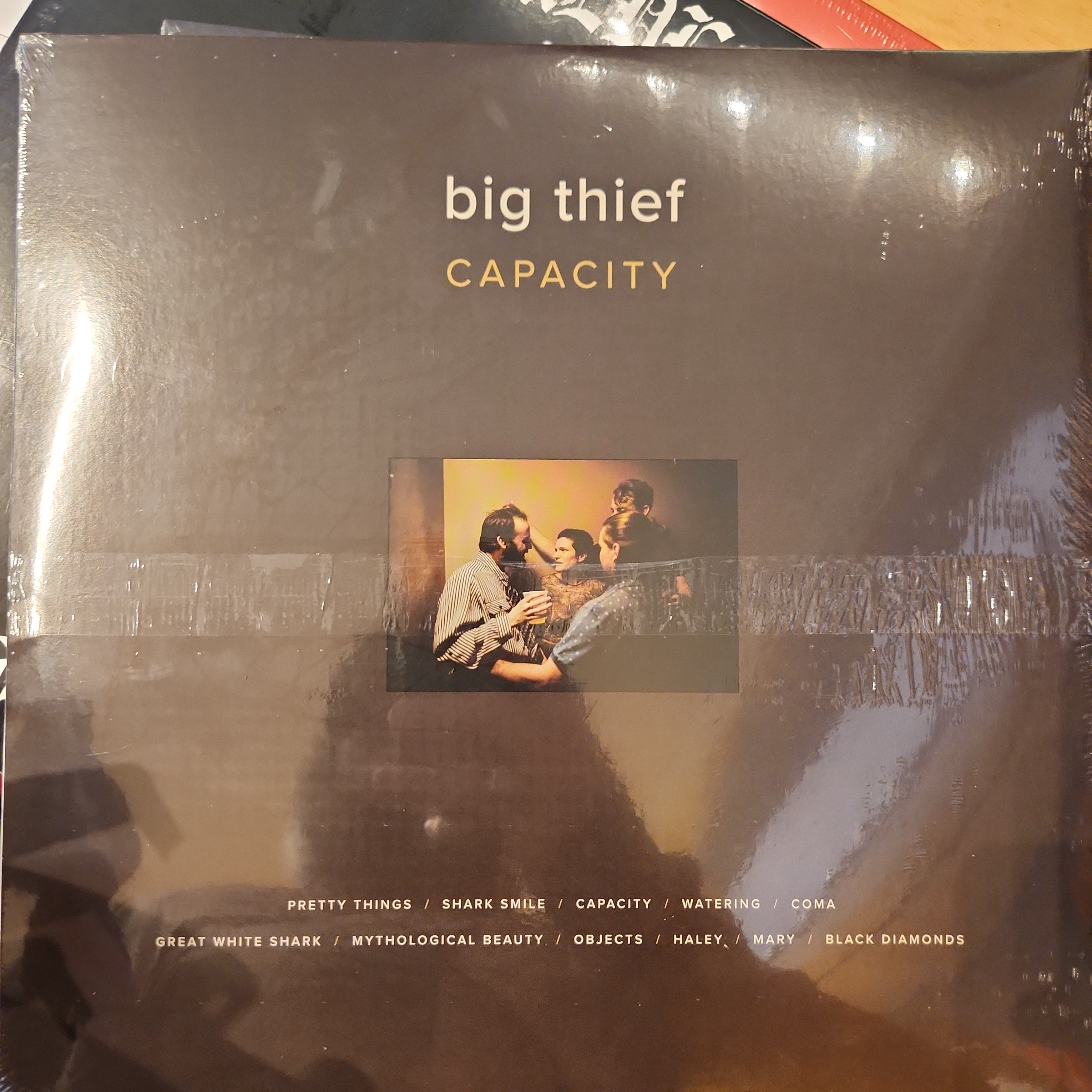 Big Thief - Capacity Vinyl LP Record | Indie Folk Rock Music Album | Perfect for Home Listening & Vinyl Collectors