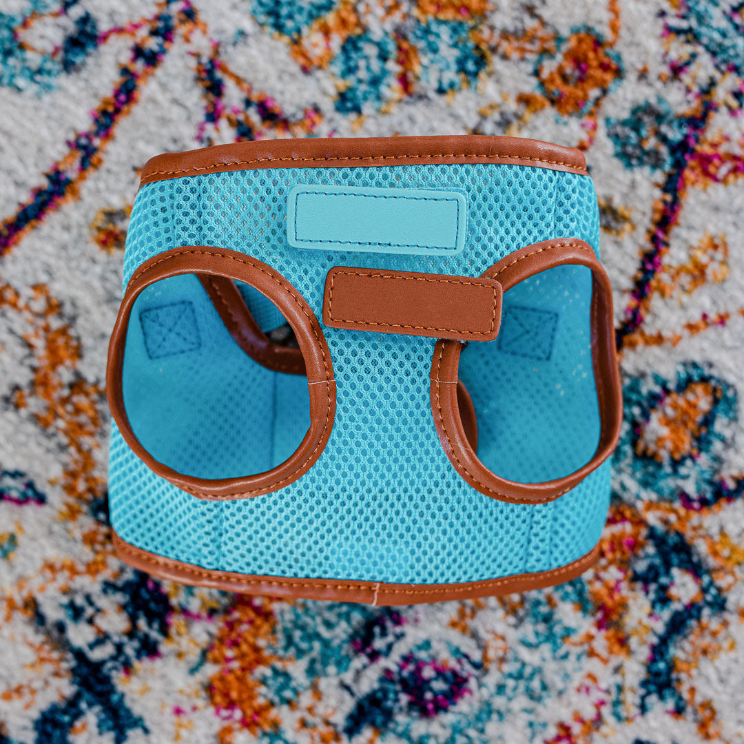 Sky Blue Cat Harness with Tan Trim - Adjustable & Escape-Proof Pet Vest for Safe Outdoor Adventures - Perfect for Walking, Hiking & Travel