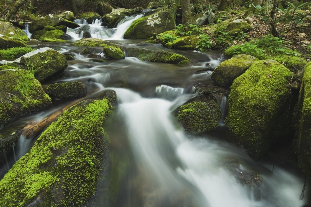 Tennessee USA Smoky Mountains National Park Moss-Covered Rocks & Boulders Poster Print - 18x12 Inch Wall Art for Home, Office & Classroom Decor