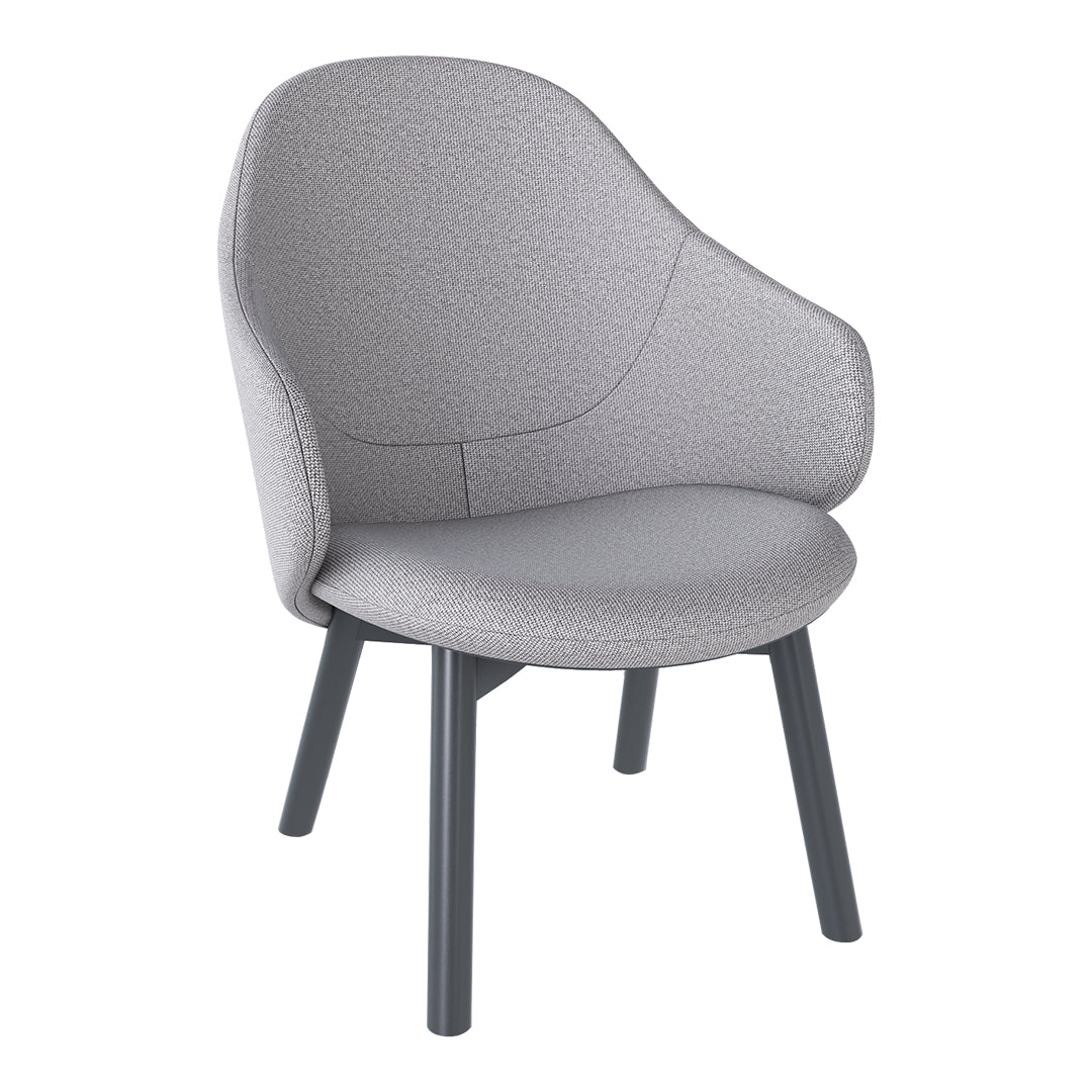Albu Lounge Armchair - Modern Beech Wood Frame with Pigment Finish - Perfect for Living Room, Bedroom, or Office Relaxation