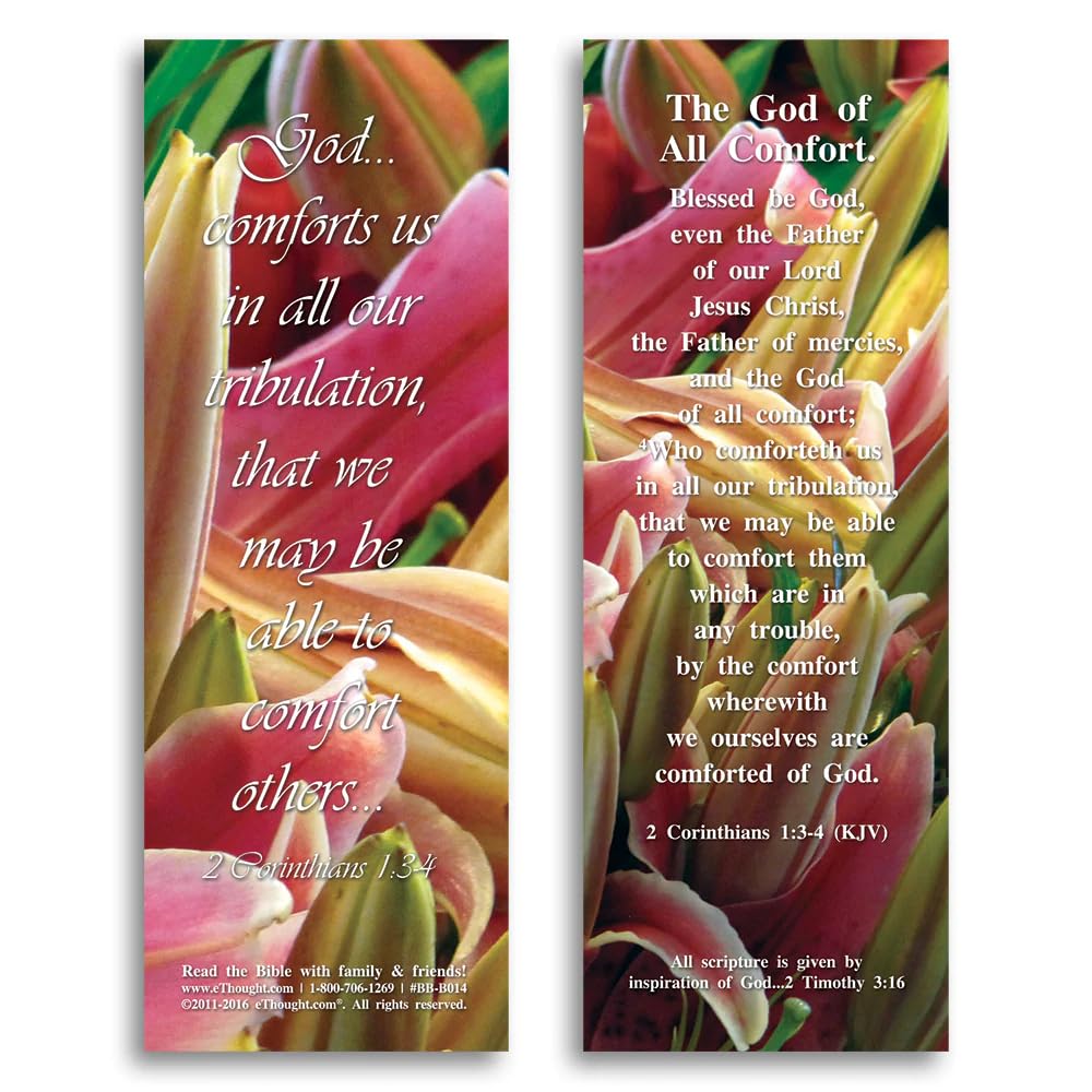 Set of 25 Inspirational Bible Reference Cards (2x6 inches) - Christian Faith Encouragement Cards for Bible Study, Church Groups, Spiritual Gifts & Daily Devotion - Perfect for Sharing Scripture Verses & Uplifting Messages