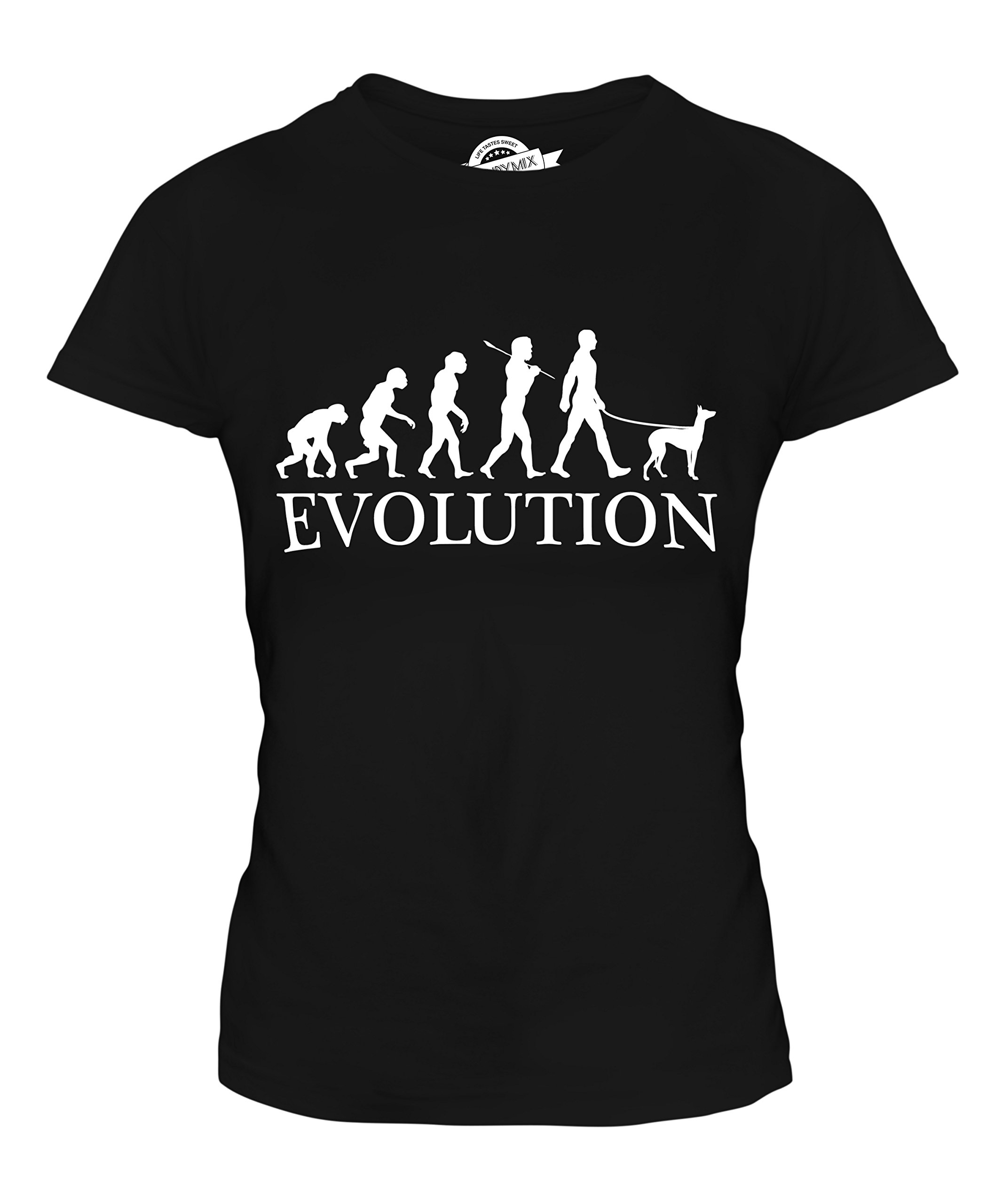 Women's Fitted Ibizan Hound Evolution of Man Graphic T-Shirt - Casual Cotton Tee for Everyday Wear, Street Style & Dog Lover Outfits