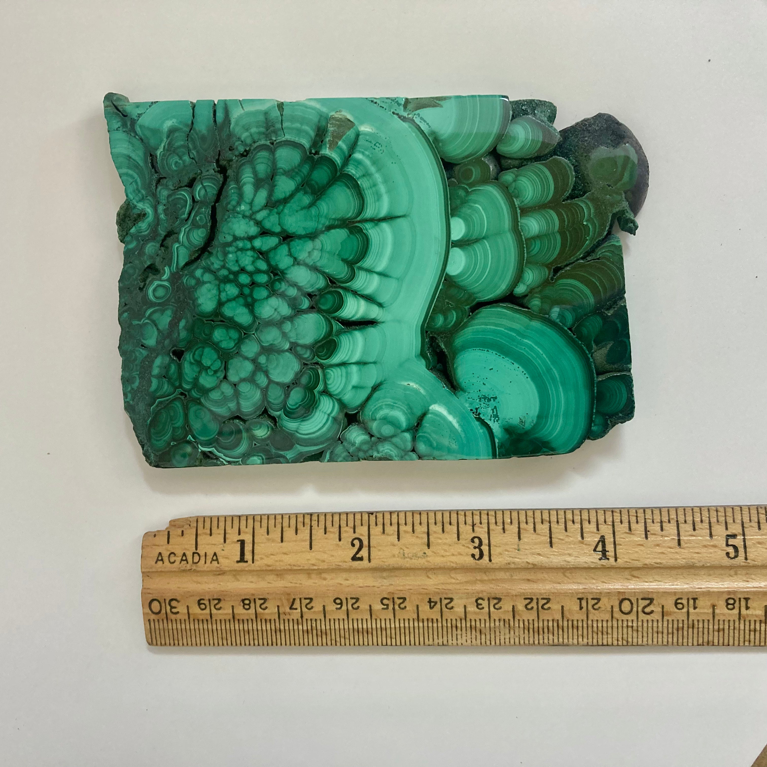 Malachite Lioness Statue - Handcrafted Stone Carving for Home Decor, Office Feng Shui & Spiritual Healing | Perfect Gift for Collectors & Crystal Lovers
