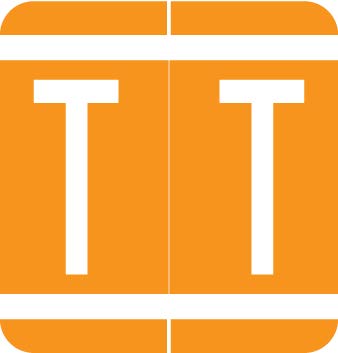VRAM Series File Folder Labels - Letter T, Orange, 250/Roll for Medical Records Organization