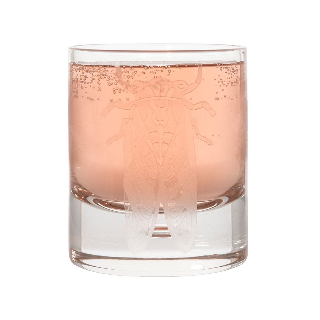 Goldbug Collection Crystal Rocks Glass Set - Premium Whiskey Glasses for Bourbon, Scotch & Cocktails - Elegant Barware for Home, Parties & Gifts