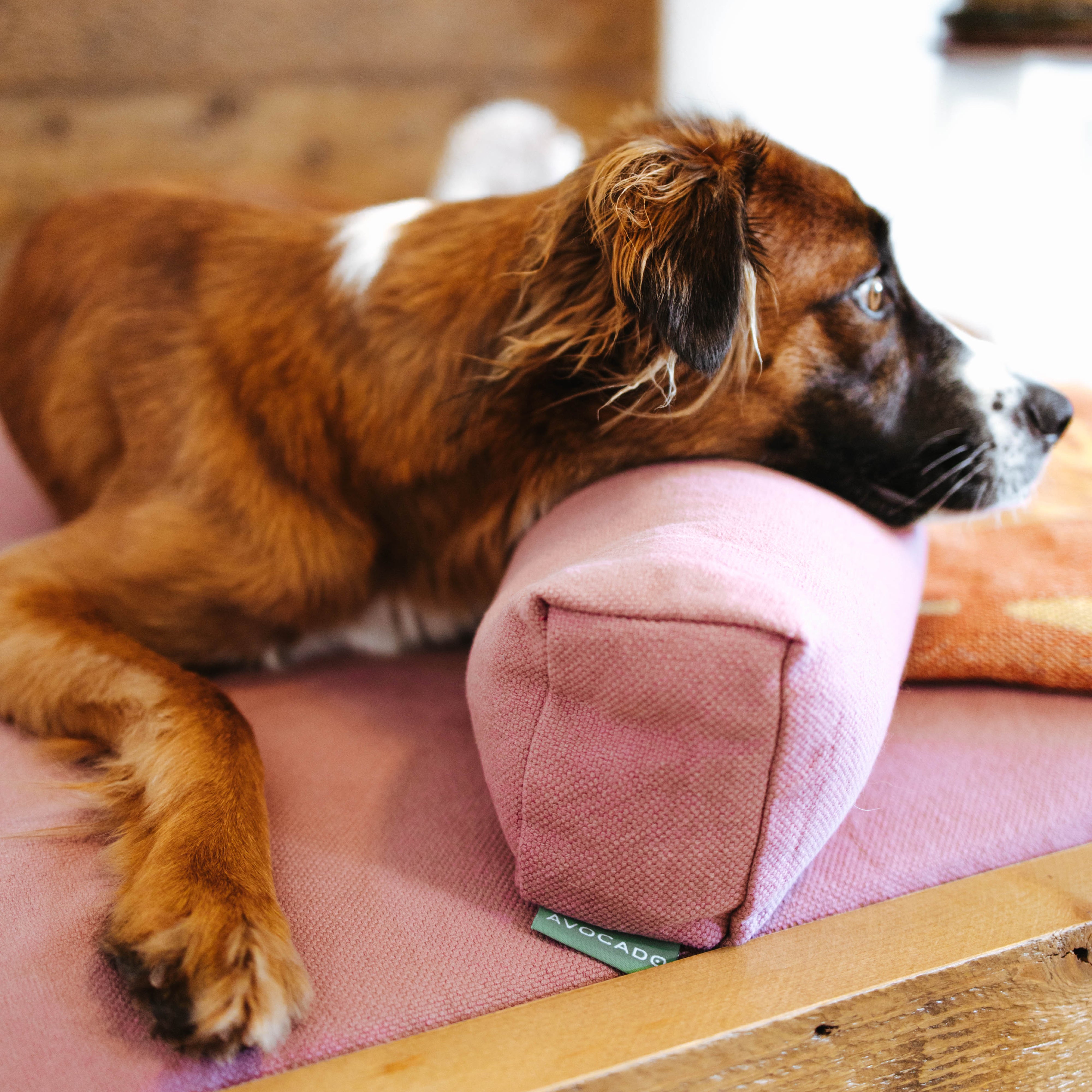 Organic Dog Pillow Bolster - Comfortable & Eco-Friendly Pet Bed for Small to Medium Dogs - Perfect for Crates, Sofas & Bedrooms