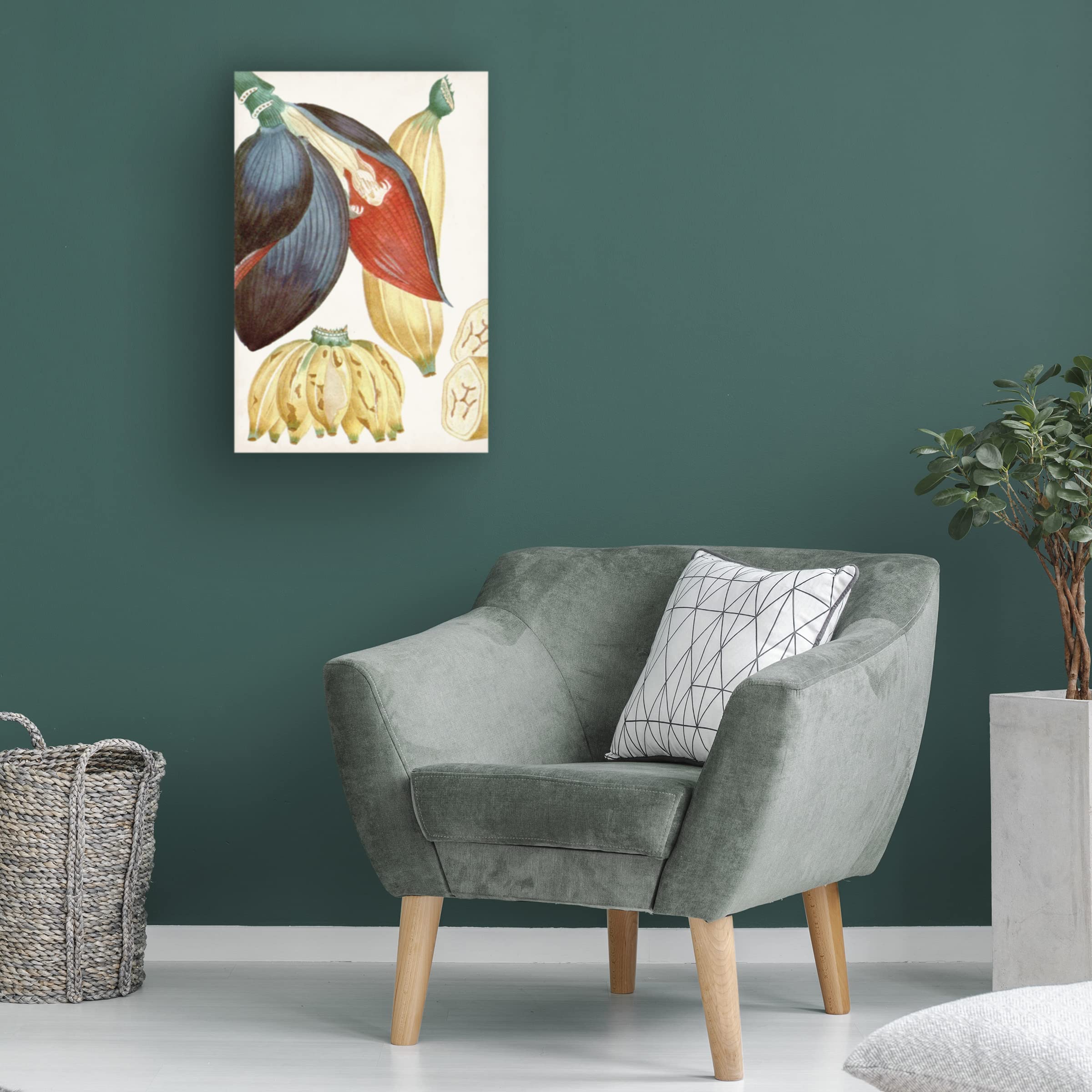 Trademark Fine Art 'Turpin Tropical Fruit VII' Canvas Wall Art Print - Vibrant Tropical Fruit Painting for Home & Office Decor
