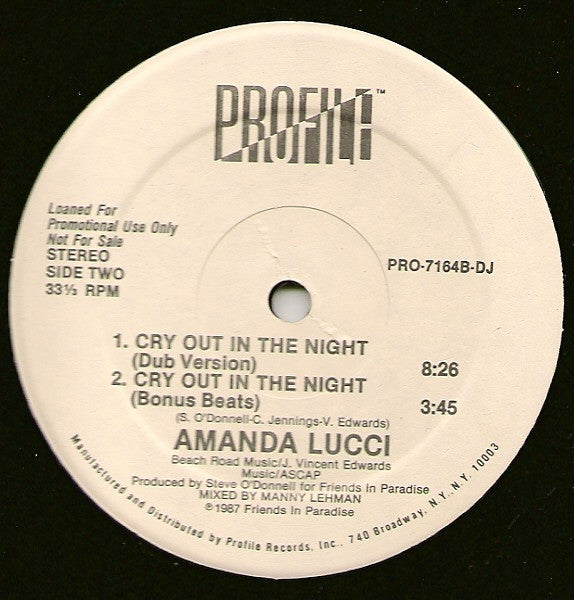 Amanda Lucci - Cry Out In The Night (12