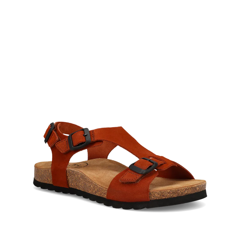Oat Suede