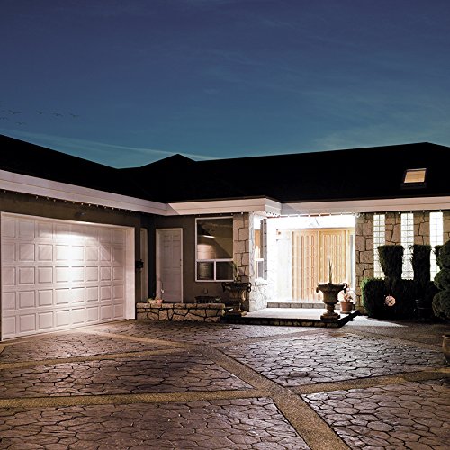 WAC Lighting Endurance Hawk 19W LED Outdoor Flood Light 3000K Warm White - Durable Graphite Finish for Patio, Garden, and Security Lighting