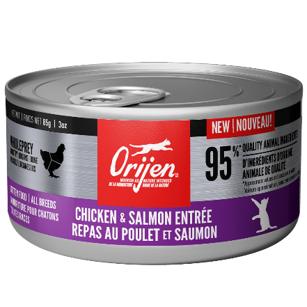 Orijen Chicken & Salmon Entrée Canned Kitten Food - High Protein Grain-Free Wet Cat Food for Kittens - Perfect for Growing Cats & Picky Eaters