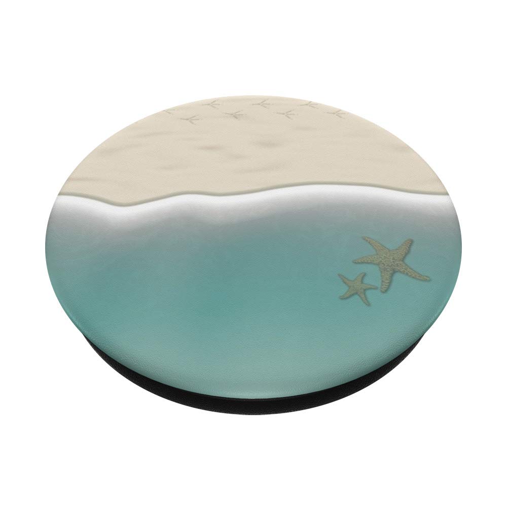 Hawaii Beach Sand Starfish - Natural Seashell Souvenirs & Gifts for Beach Decor, Wedding Favors, Coastal Home Decor