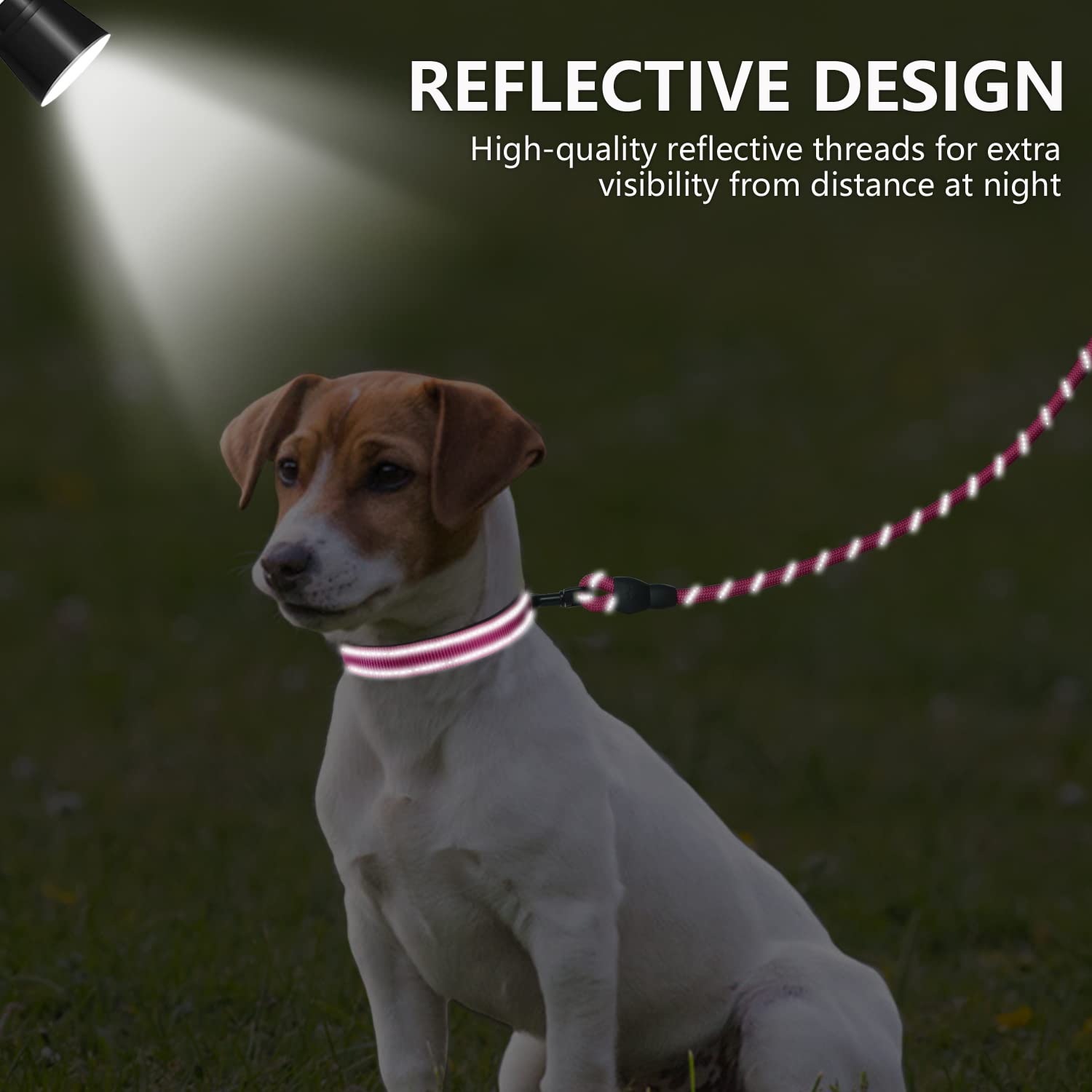 Dynmeow Reflective Dog Collar and Leash Set - 6FT Strong Climbing Rope Leash with Padded Handle, Adjustable Pet Collar with Soft Neoprene Padding for Small & Medium Dogs - Hot Pink (Size S) - Perfect for Night Walks, Hiking & Outdoor Adventures