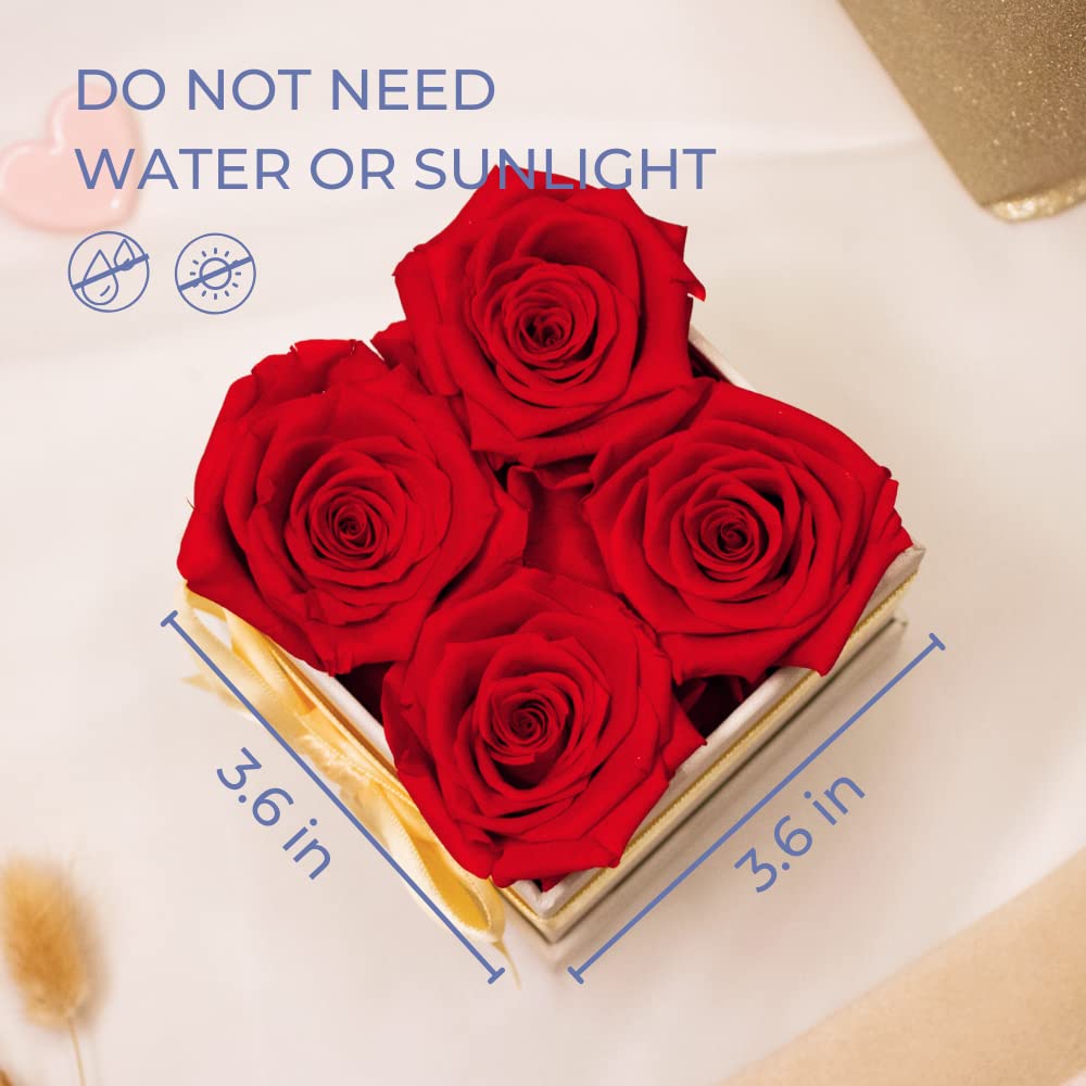 AROMEO Premium Preserved Red Roses Gift Set - Long Lasting Fresh Flowers for Valentine's Day, Mother's Day & Anniversary - Perfect for Romantic Surprises, Home Decor & Special Occasions