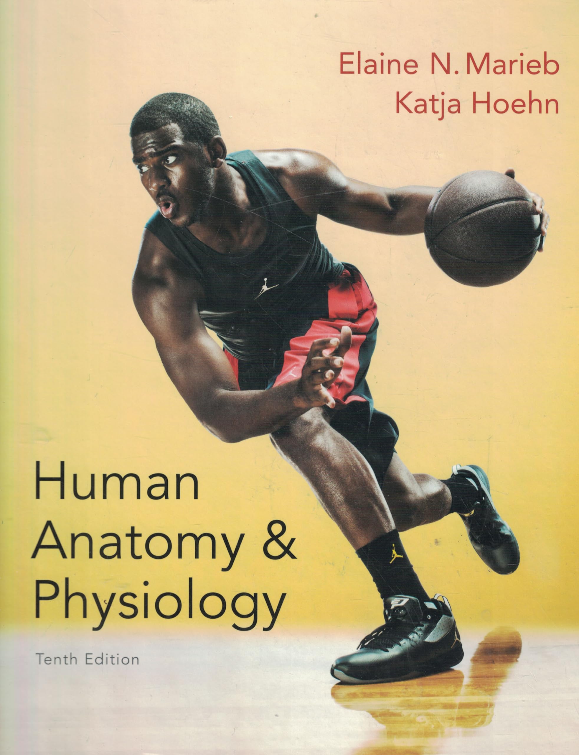 Human Anatomy & Physiology Textbook by Elaine Marieb - Standalone Edition | Essential for Medical Students, Nursing Programs & Healthcare Professionals | Perfect for Classroom Study & Self-Learning