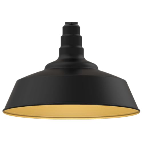 Matte Black With Brass Interior