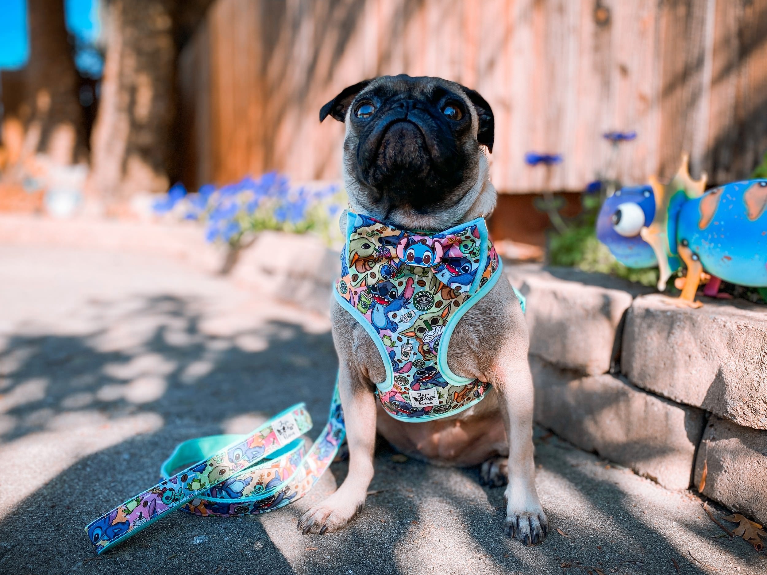 Premium Dog Harness - Boba Aliens Adjustable Pet Vest for Small & Large Dogs - Reflective & Padded for Comfort - Perfect for Walking, Running & Outdoor Adventures