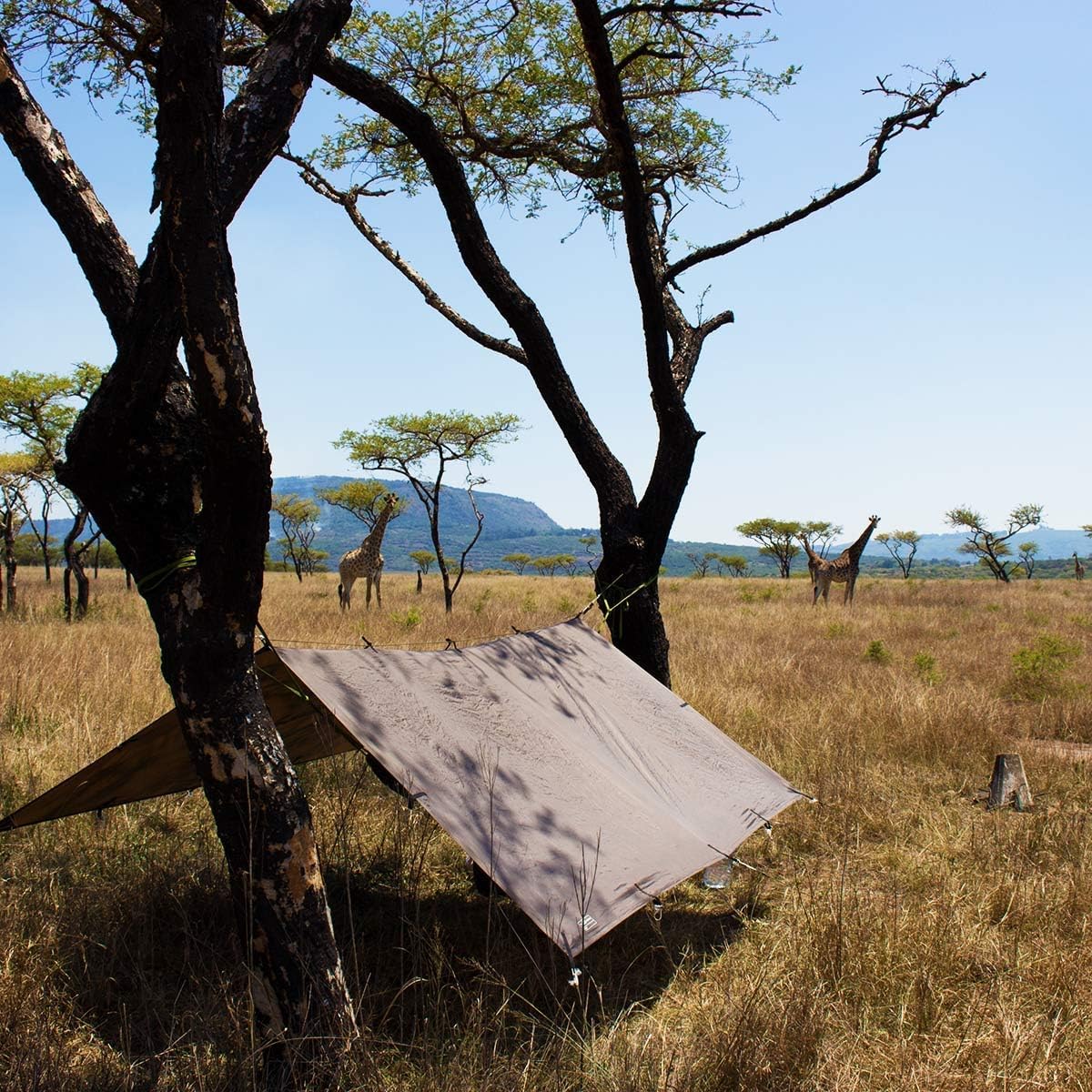 DD HAMMOCKS DD Tarp 3x3 - 10ft x 10ft Waterproof Camping Tarp in Coyote Brown - Lightweight Multifunctional Rainfly Shelter for Backpacking, Hiking, Beach & Outdoor Adventures