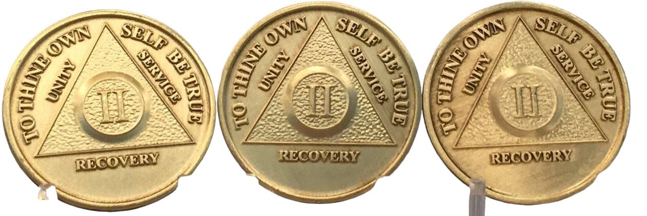 Wendells Set of 3 AA Bronze Sobriety Medallions with Serenity Prayer - 2 Year Anniversary Gift for Alcoholics Anonymous Recovery, Meetings & Milestones