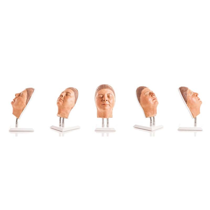 Professional Facial Injection Head for Mid-Age Women with Medium Skin Tone (Version F) - Ideal for Medical Training, Aesthetic Practice & Cosmetic Procedure Simulation