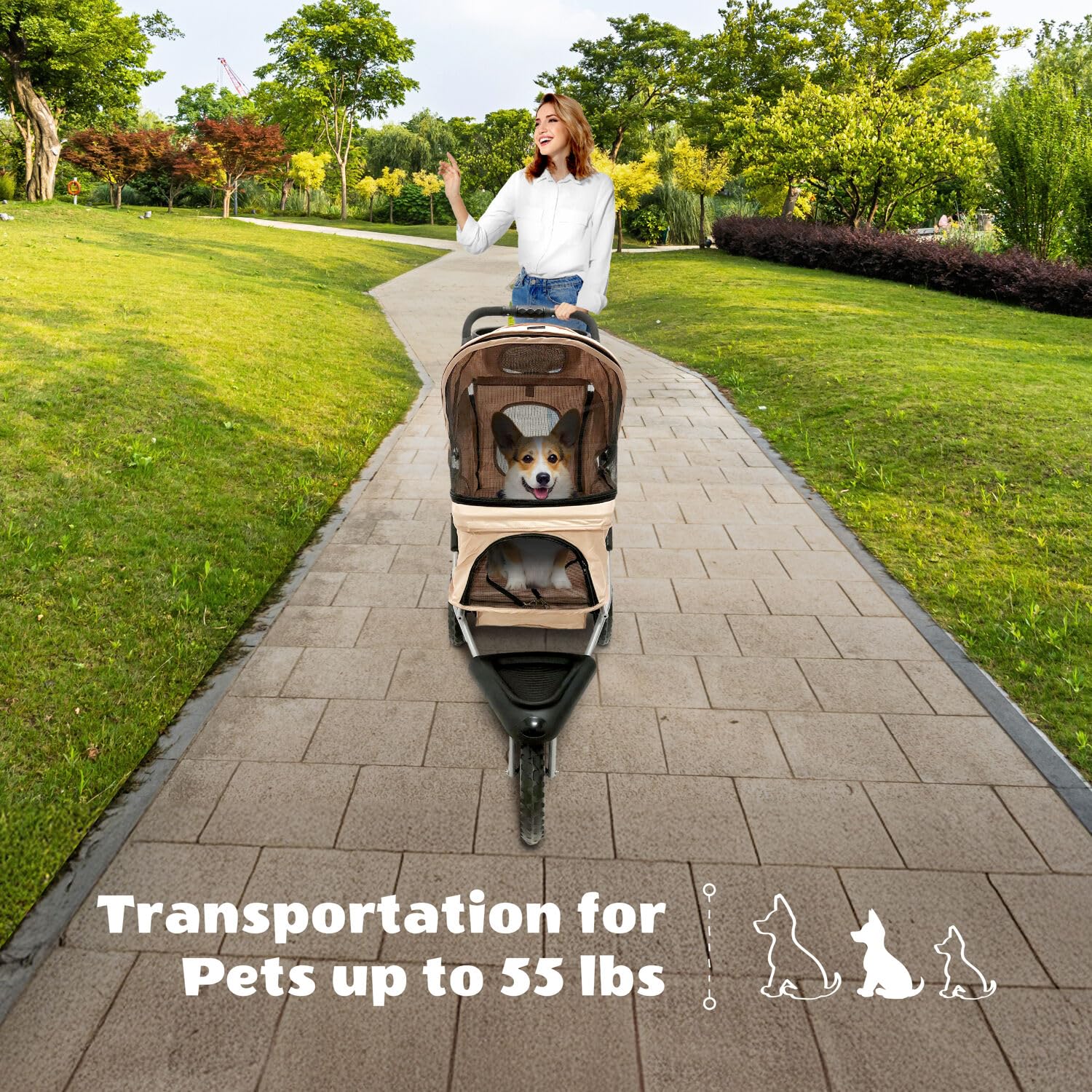 Critter Sitters 3-Wheel Jogging Dog Stroller with Storage Basket & Cup Holders - Modern Pet Stroller for Medium/Large Dogs up to 55lbs - Lightweight Puppy Stroller for Daily Walks, Park Visits & Outdoor Adventures (Tan)