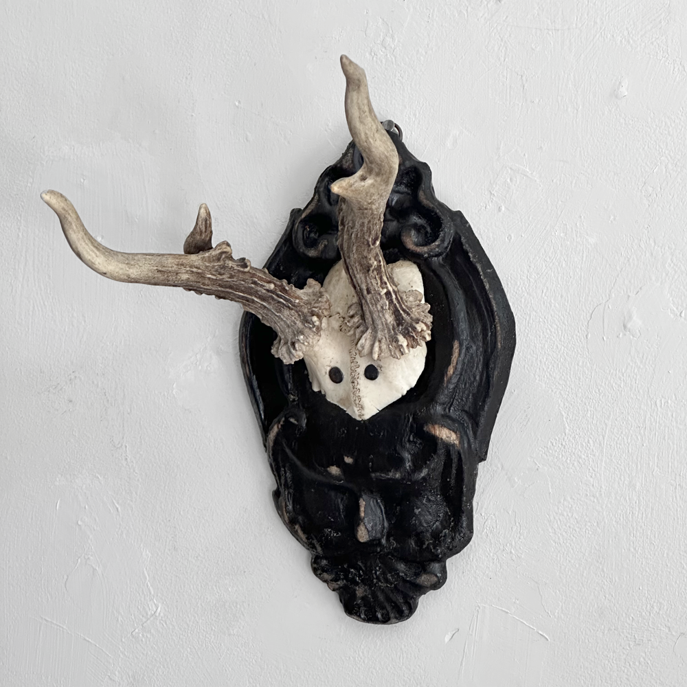 Black Forest Antlers on Carved Wood Plaque - Handcrafted Deer Antler Decor for Hunting Lodge, Cabin & Rustic Home Decor - Perfect for Wall Display in Living Room, Study or Man Cave