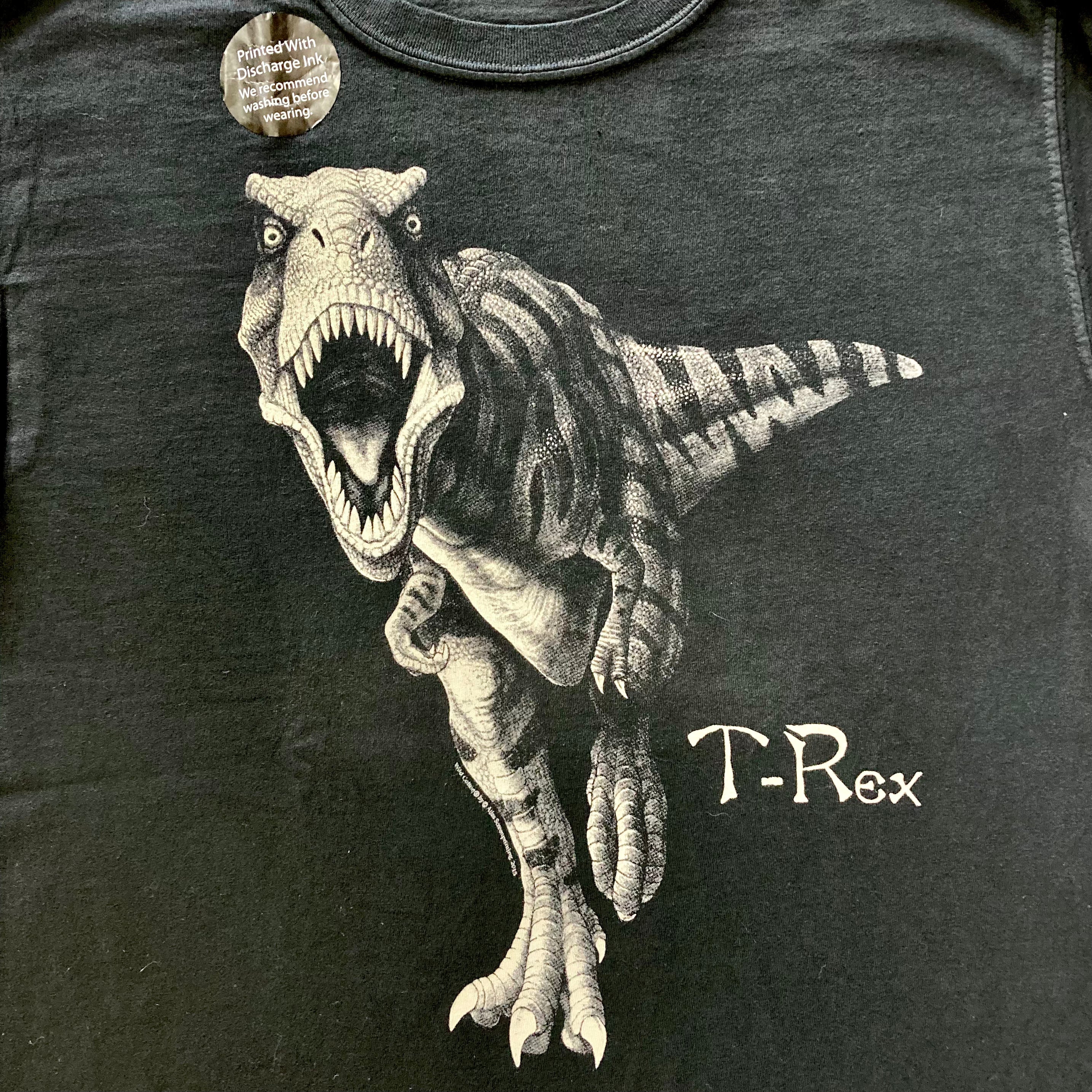Men's Discharge Ink T-Rex Graphic T-Shirt - Soft Cotton Tee for Casual Wear, Street Style & Dinosaur Lovers